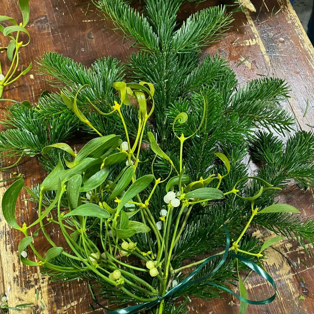 586995920 122112980739027698 743954120058443930 n